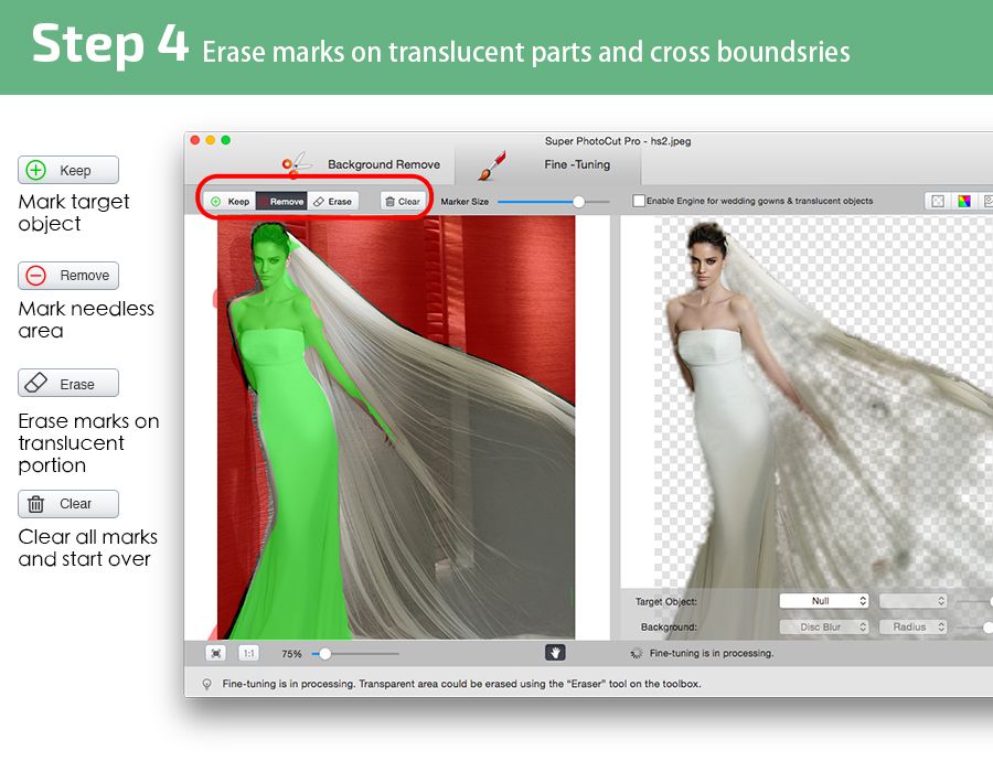 cutout of wedding dress from image Mac
